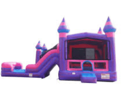 Passion Bounce and Slide