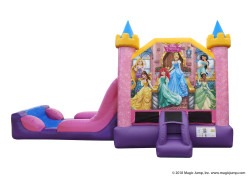 Disney Princesses Bounce and Slide NEW!