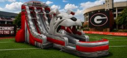 UGA GO DAWGS 18' DUAL LANE WATERSLIDE
